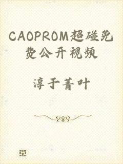CAOPROM超碰免费公开视频