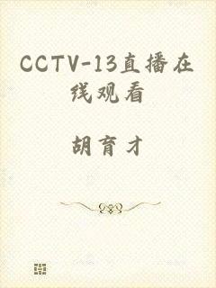 CCTV-13直播在线观看