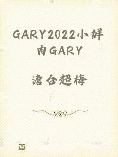 GARY2022小鲜肉GARY