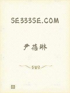 SE333SE.COM