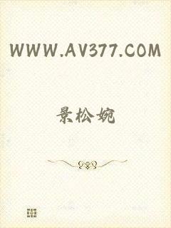 WWW.AV377.COM