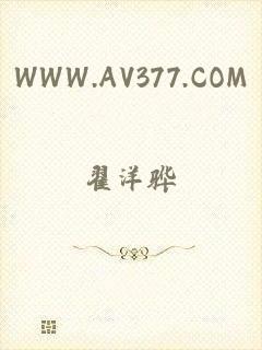 WWW.AV377.COM