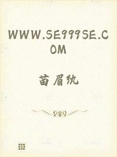 WWW.SE999SE.COM