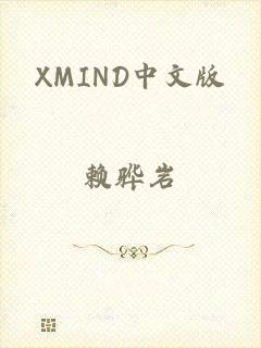 XMIND中文版