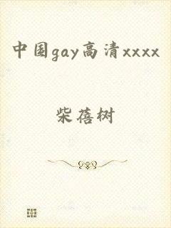 中国gay高清xxxx