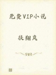 免费VIP小说