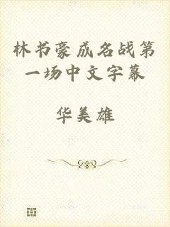 林书豪成名战第一场中文字幕