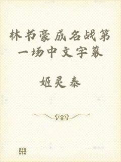 林书豪成名战第一场中文字幕